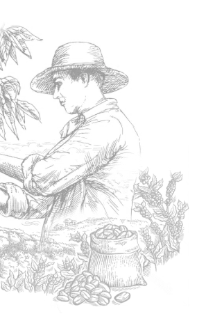 Hành trình gắn kết